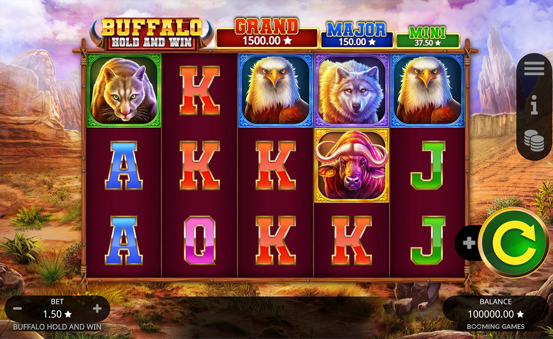 Buffalo Hold and Win