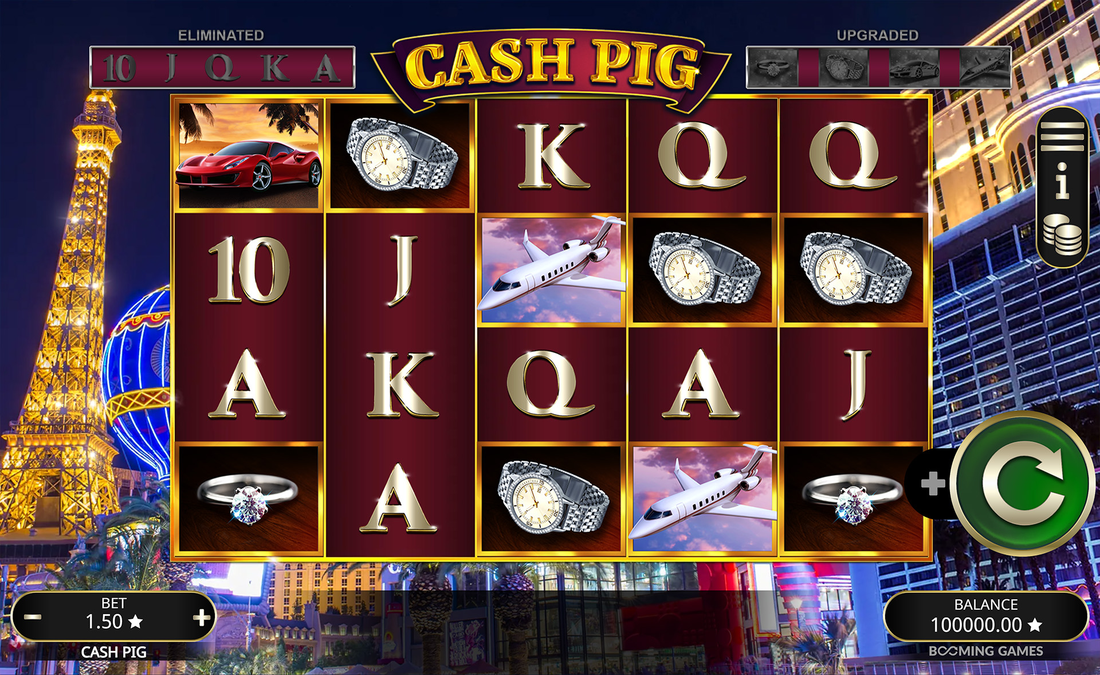 Cash Pig