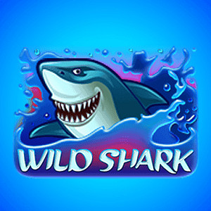 Wild shark